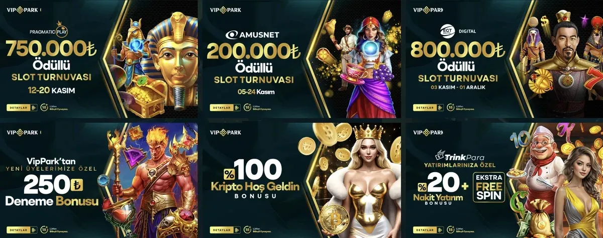 Vippark hesap girişi sonrası ana ekran